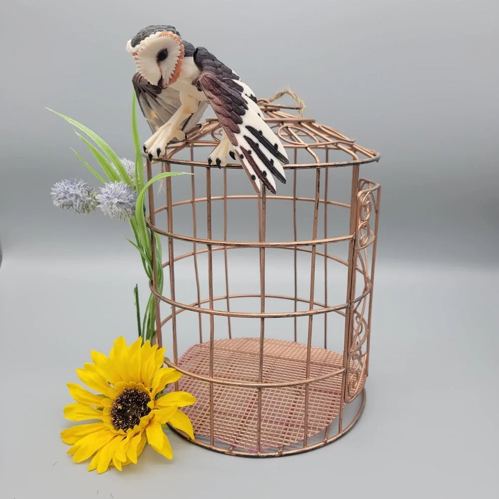 Barn Owl