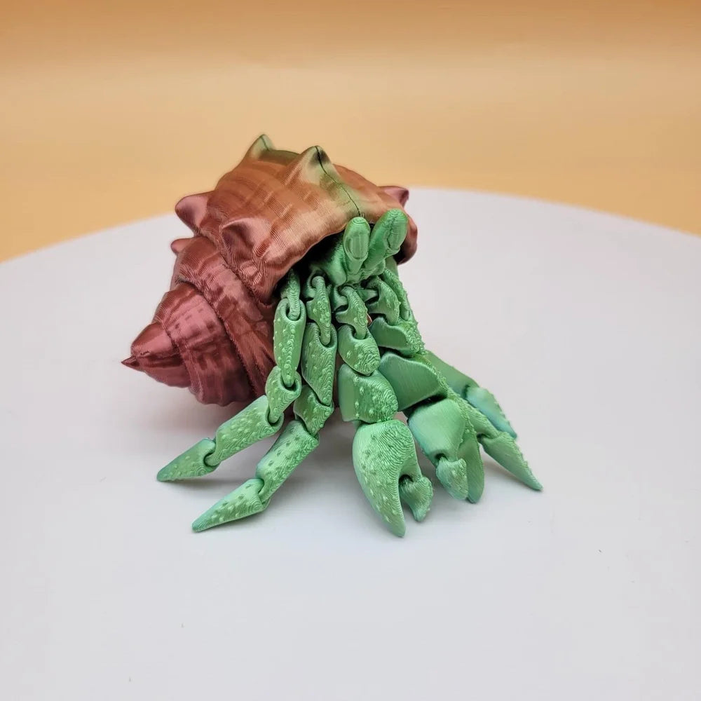 Hermit Crab with Shells!