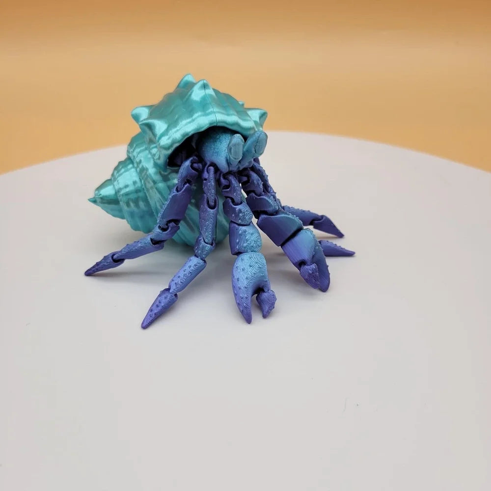 Hermit Crab with Shells!